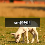 set转数组（图4）