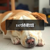 set转数组（图3）