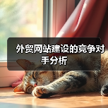 外贸网站建设的竞争对手分析（图4）