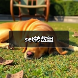 set转数组（图2）