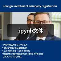 .ipynb文件（图3）