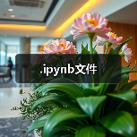 .ipynb文件
