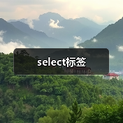 select标签