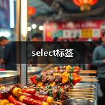 select标签(图3) select标签(图3)