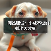 网站建设：小成本也能做出大效果（图4）