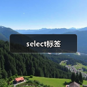 select标签(图4) select标签(图4)