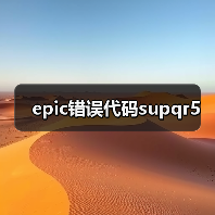 epic错误代码supqr5（图3）