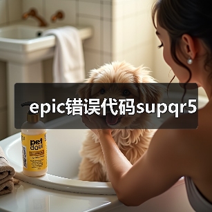 epic错误代码supqr5（图2）