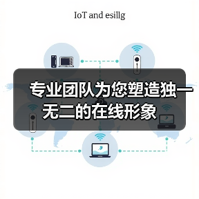 专业团队为您塑造独一无二的在线形象