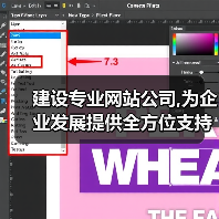 建设专业网站公司,为企业发展提供全方位支持