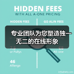 专业团队为您塑造独一无二的在线形象（图4）