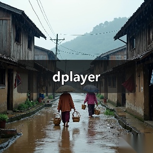 dplayer（图3）