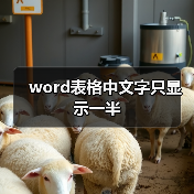 word表格中文字只显示一半（图4）