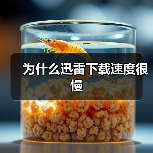 为什么迅雷下载速度很慢（图3）