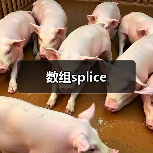 数组splice