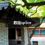 数组splice（图4）