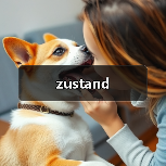 zustand（图3）