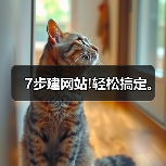 7步建网站!轻松搞定。（图4）