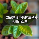 网站建设中的区块链技术潜在应用（图2）