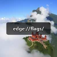 edge://flags/（图3）