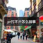 pr打不开怎么回事（图2）