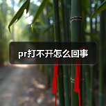 pr打不开怎么回事（图4）