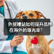 外贸建站如何提升品牌在海外的曝光率？