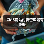 CMS网站内容管理器有哪些