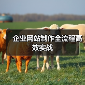 企业网站制作全流程高效实战