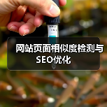 网站页面相似度检测与SEO优化（图3）