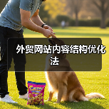 外贸网站内容结构优化法（图2）