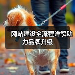 网站建设全流程详解助力品牌升级（图3）