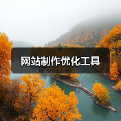 网站制作优化工具