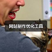 网站制作优化工具（图3）