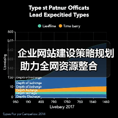 企业网站建设策略规划助力全网资源整合（图2）