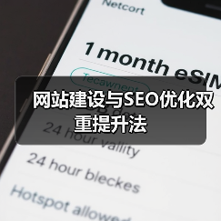 网站建设与SEO优化双重提升法（图3）