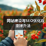 网站建设与SEO优化双重提升法