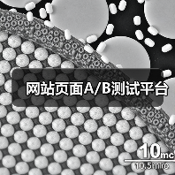 网站页面A/B测试平台（图4）