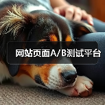 网站页面A/B测试平台（图3）