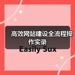 高效网站建设全流程操作实录（图2）