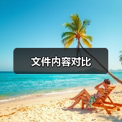 文件内容对比（图4）