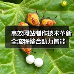高效网站制作技术革新全流程整合助力智能（图3）