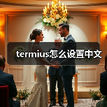termius怎么设置中文