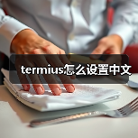 termius怎么设置中文（图2）