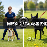 网站页面ETag配置优化（图4）