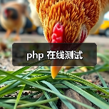 php 在线测试（图2）