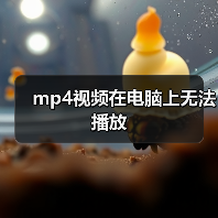 mp4视频在电脑上无法播放（图2）