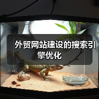 外贸网站建设的搜索引擎优化
