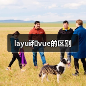 layui和vue的区别（图4）
