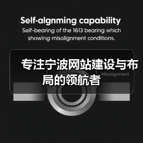 专注宁波网站建设与布局的领航者（图4）